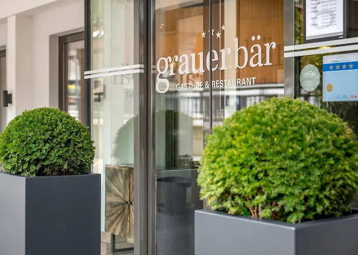 Grauer Baer