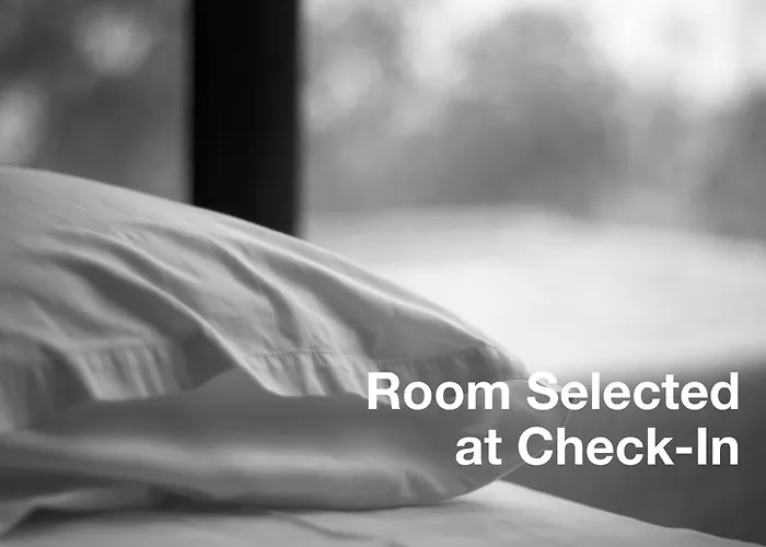 New Republique - Ex Albert'S