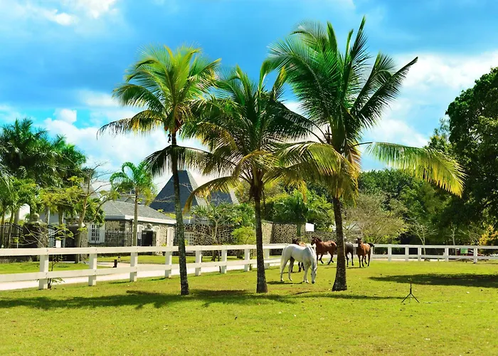 Maritim Resort & Spa, Turtle Bay