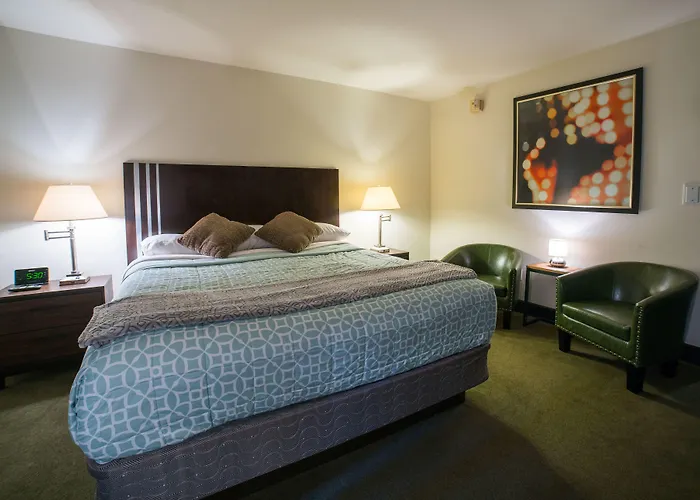 Hôtel accueillant les animaux: Lemon Tree Inn