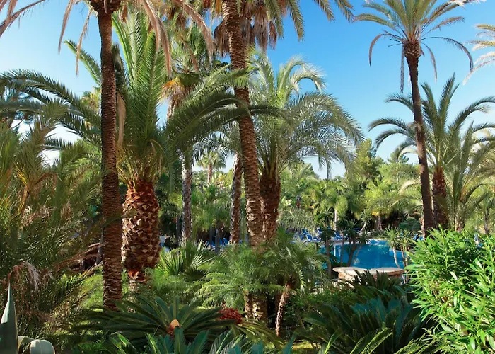 Ria Park Hotel&Spa