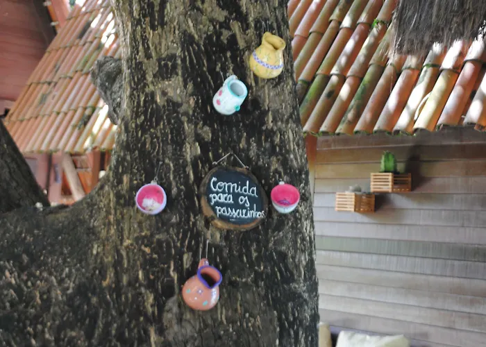 Hotel with pool: Chalet Suisse