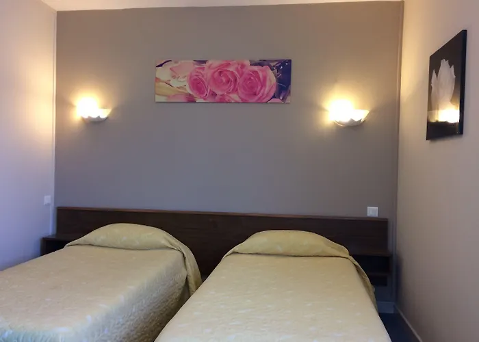 Logis Hôtel Delfotel