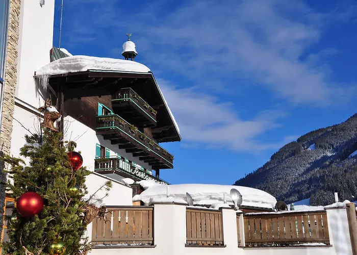 Haustierfreundliches Hotel: Stammhaus Im Hotel Alpine Palace