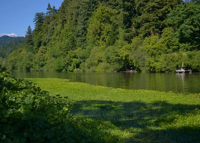 Guerneville Lodge