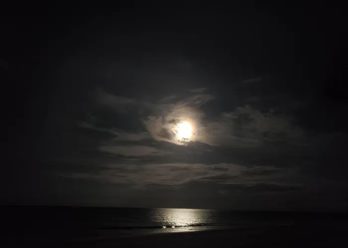 Beach hotel: Studio 1 Motel - Daytona Beach