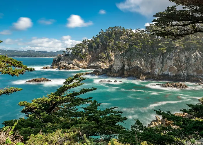 Pet Friendly hotel: Andril Fireplace Cottages