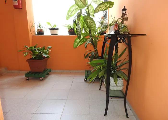 Resort: Hotel Casa Mallorca