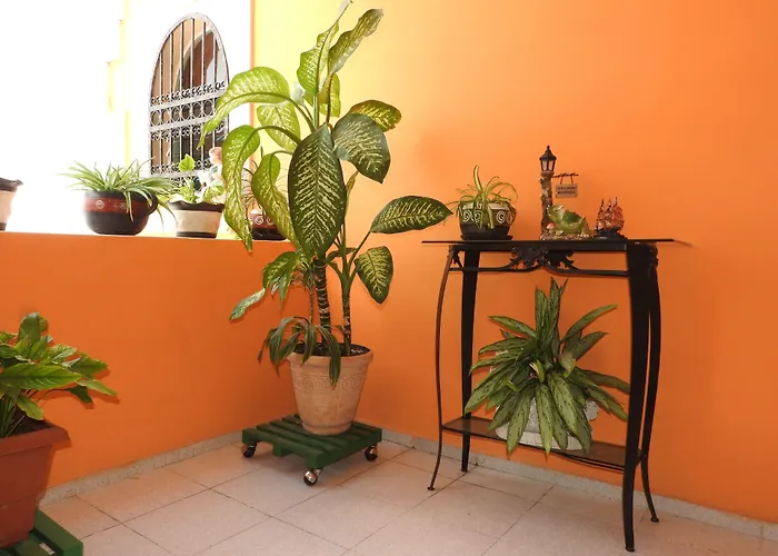 Resort: Hotel Casa Mallorca