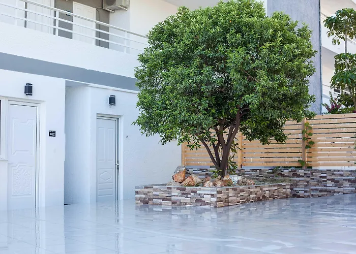 Essential Summer - Adults Only