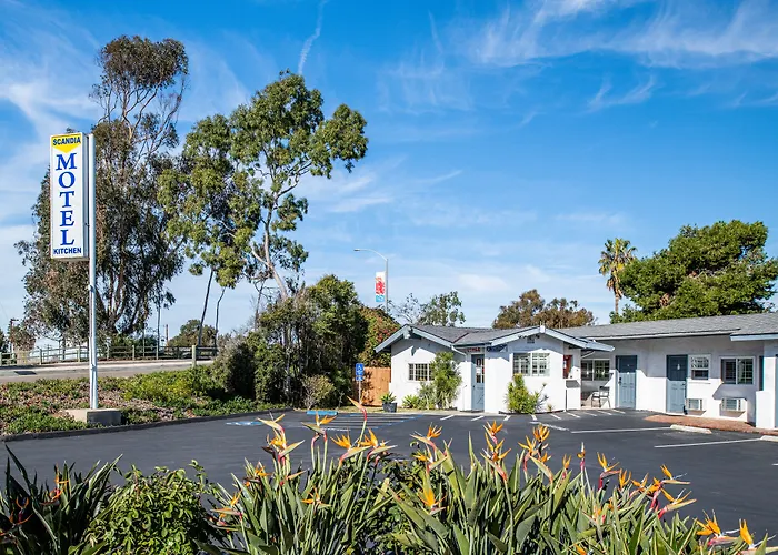 Pet Friendly hotel: Scandia Motel