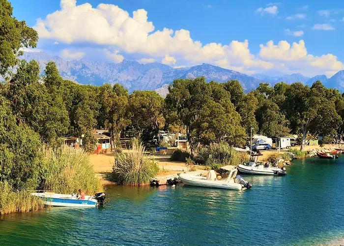 Hotel adatto agli animali: Camping Dolce Vita