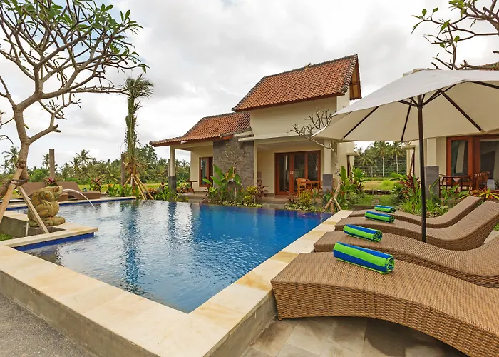 Sisin Ubud View
