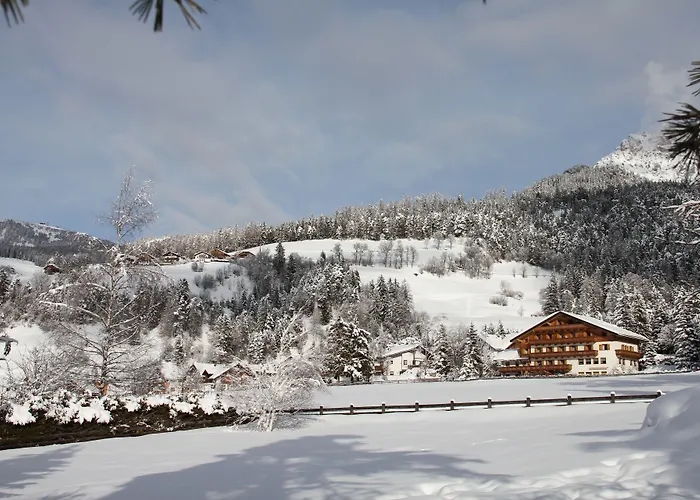 Pension Arnica B&B