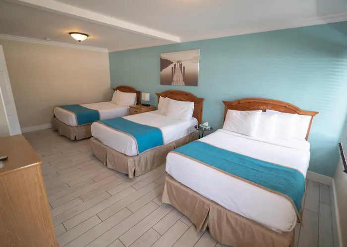 Beach hotel: Seashell Motel