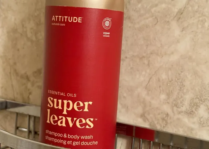 The Century House Bed And Breakfast Ottawa