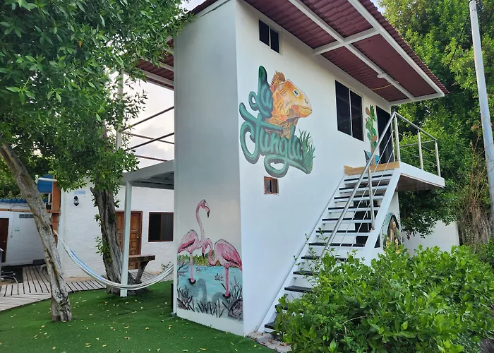 Cheap hotel: Hotel La Jungla