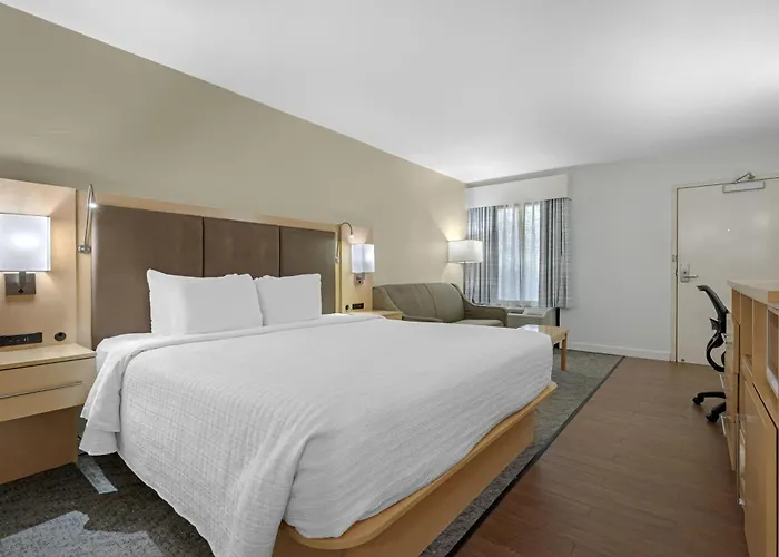 Best Western Plus South Coast Inn