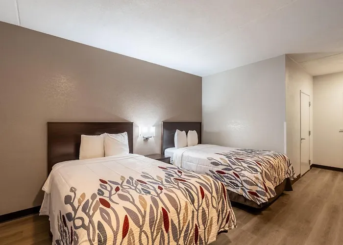 Motel: Red Roof Inn Tucson North - Marana