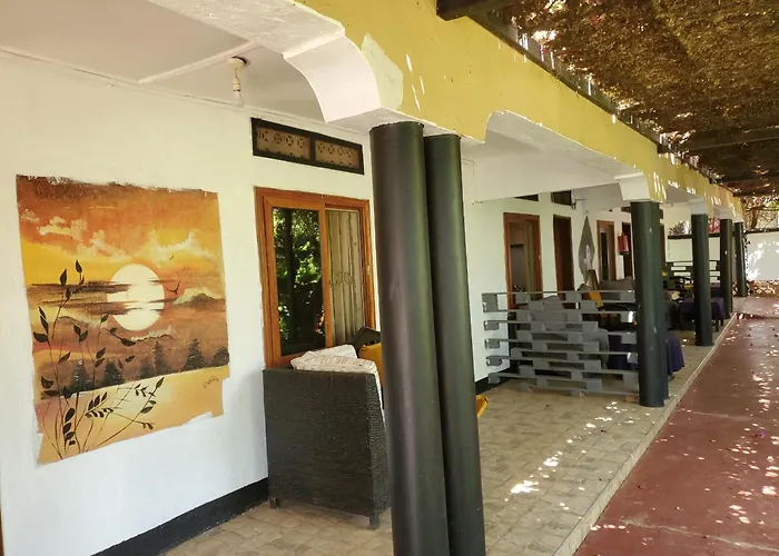 Gorilla Tours And Travel Africa Ltd