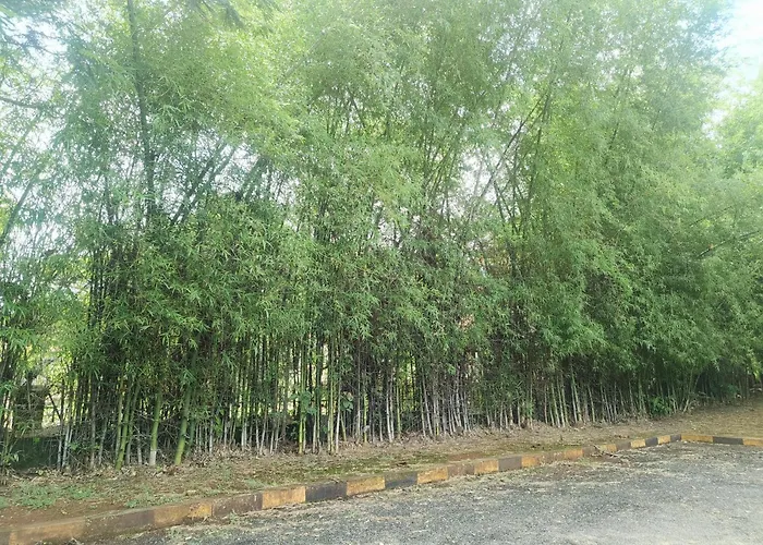 Divyadhan Bliss Resort Karjat