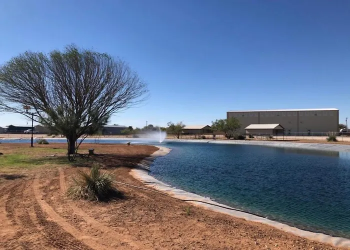 Mesquite Oasis Lodging