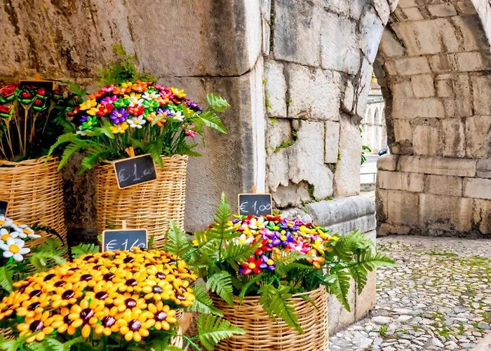 Il Bagolaro Casa Vacanze