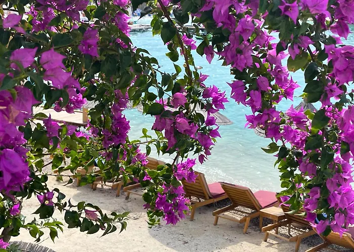 Manta Hotel