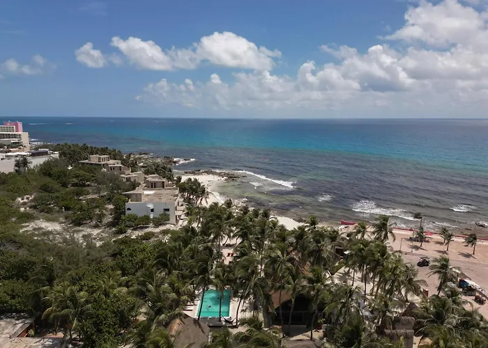 Pets Allowed Hotel Nilu Isla Mujeres By Selina