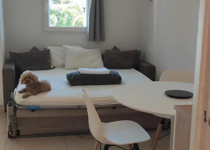 Location de vacances: Residence Les Palmiers