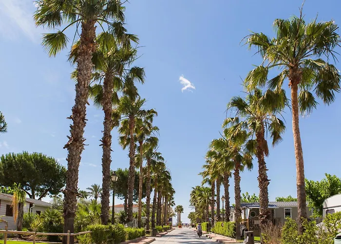 Estival Vendrell Platja
