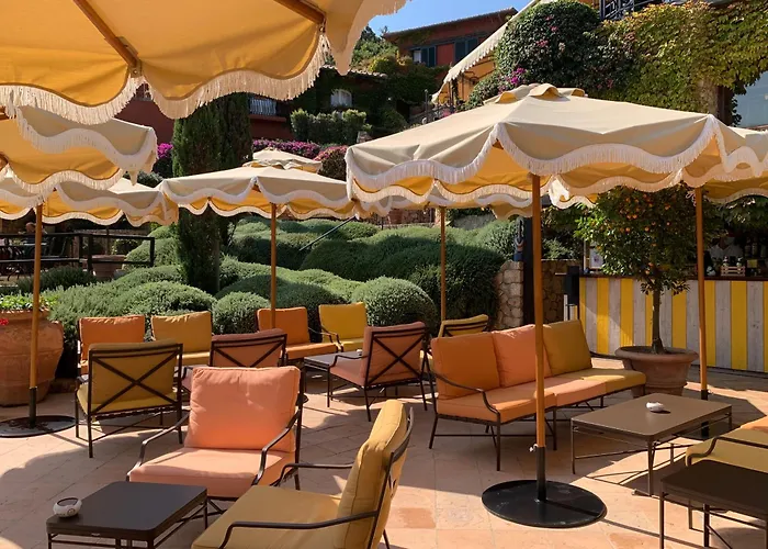 Il Pellicano