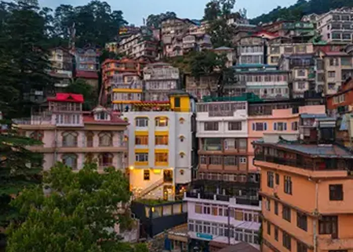 The Hosteller Shimla