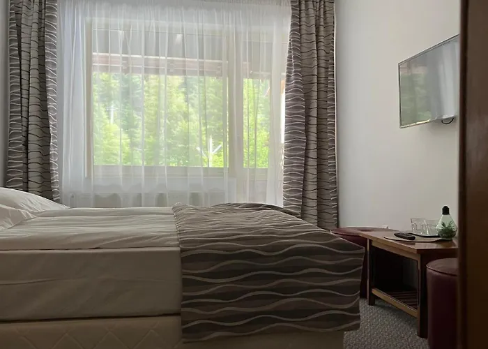 Hotel-Restaurant Siesta Balea