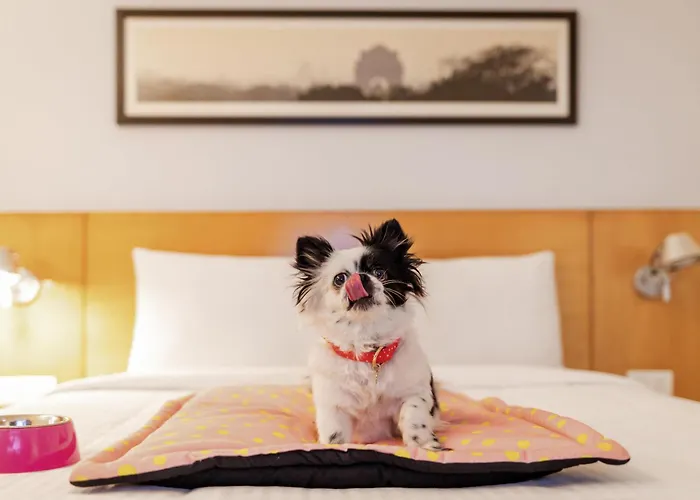Ibis Chennai Omr - An Accor Brand