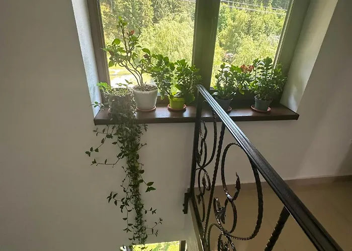Maison Platanus