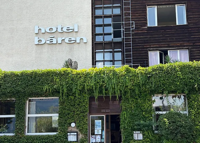 Seehotel Bären