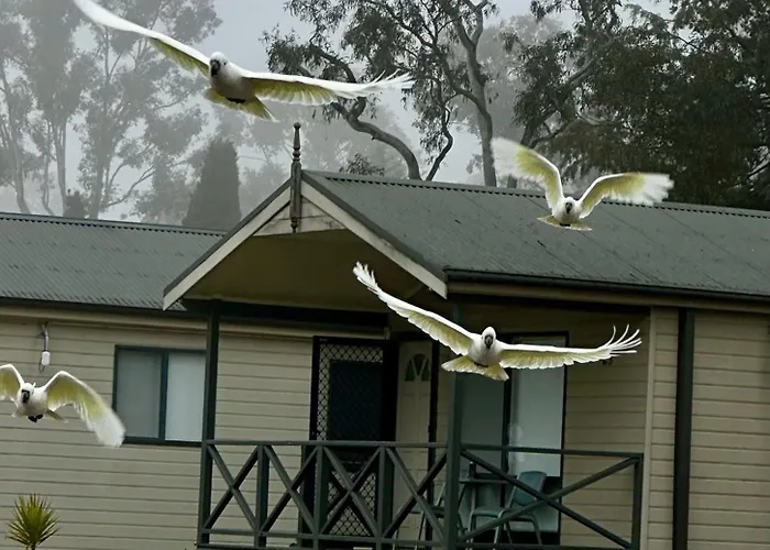 Eaglehawk Park
