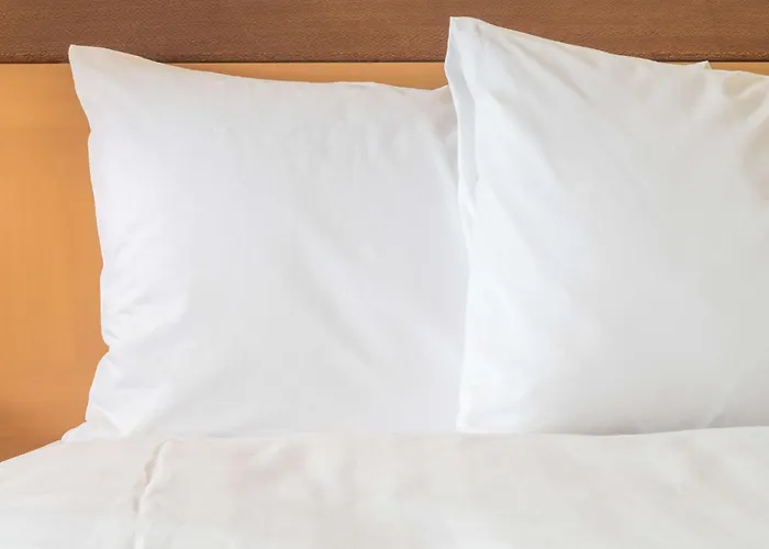  Holiday Inn Express Duesseldorf - Hauptbahnhof By Ihg