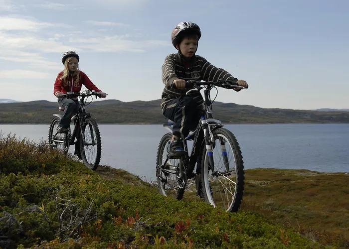 Rodungstol Hoyfjellshotell