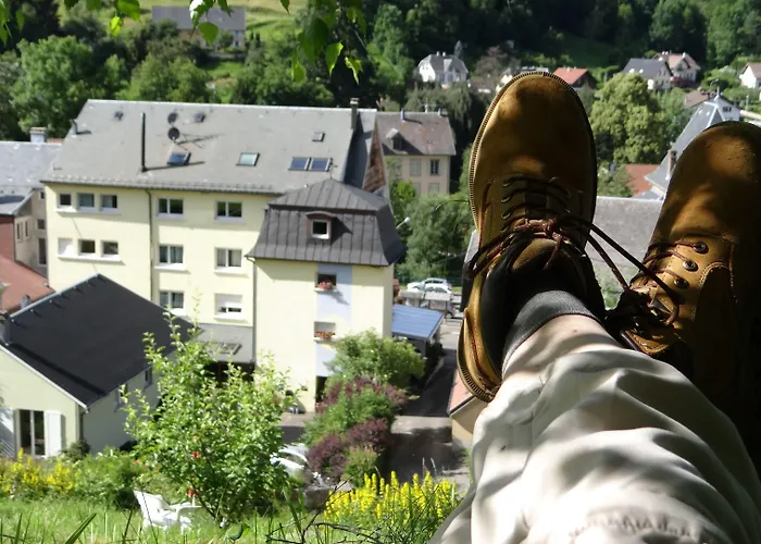 Logis Hotel - Restaurant Aux Bruyeres