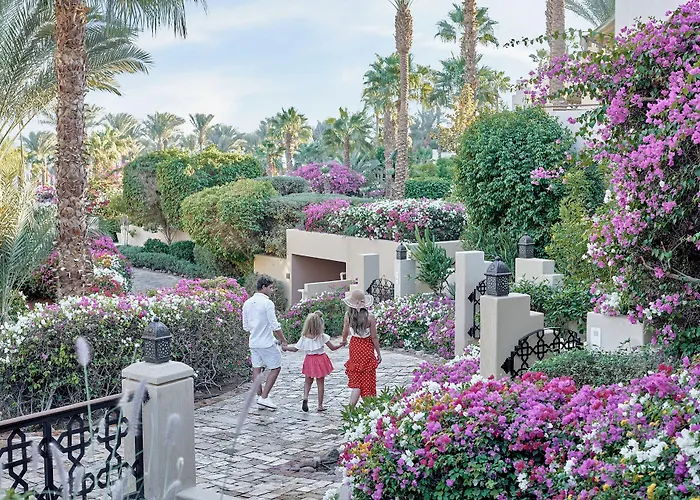 Animaux admis Four Seasons Sharm El Sheikh