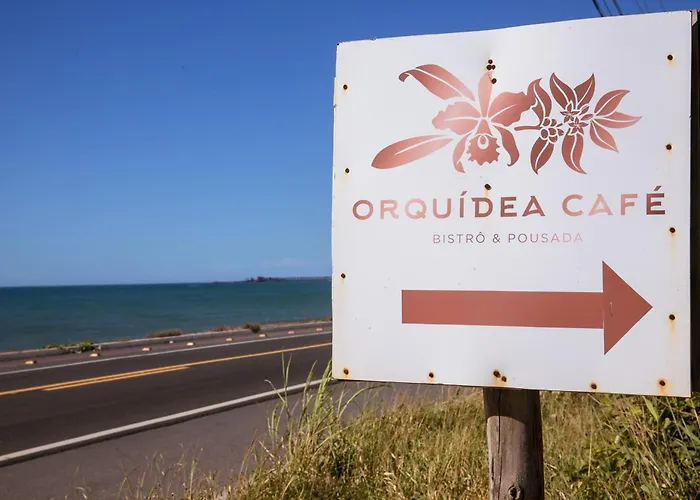 Orquidea Cafe