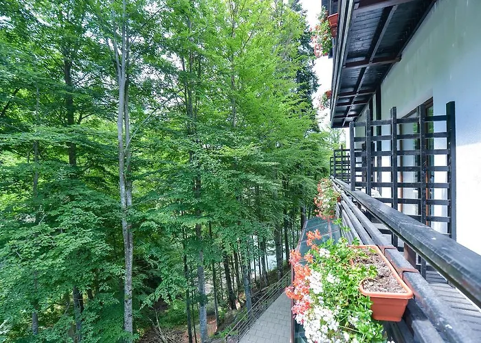 Hotel Posada Vidraru