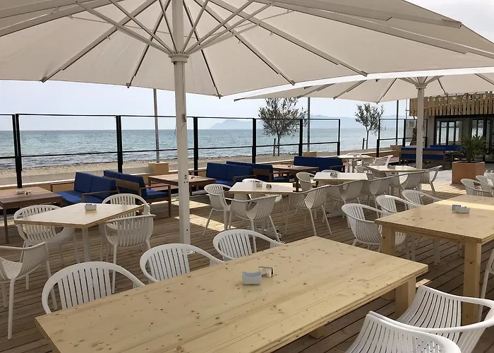 Hotel que admite mascotas: Hotel Sa Roqueta Can Picafort Adults Only