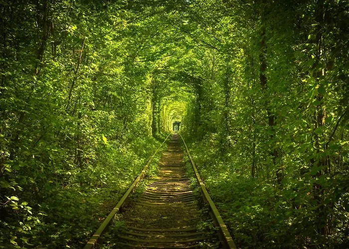 Hotel Tunnel Of Love