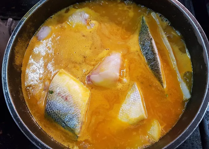 Hôtel accueillant les animaux: Hotel La Cala