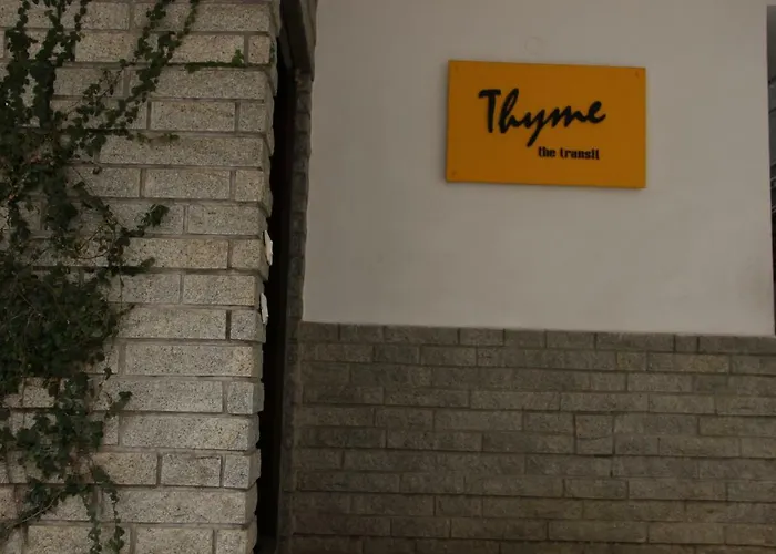 Thyme The Transit