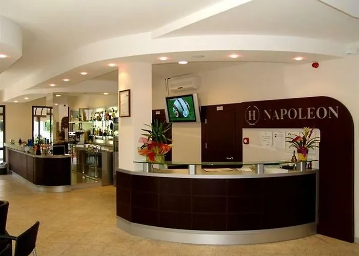 Hotel adatto agli animali: Hotel Napoleon