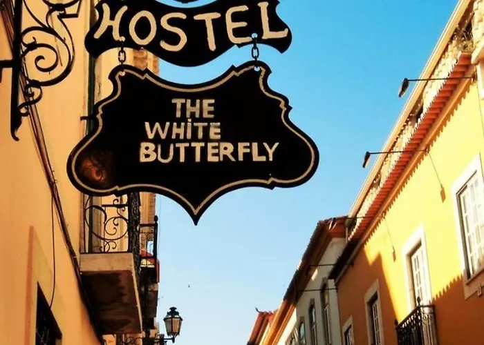 Hotel perto da faculdade: Hostel The White Butterfly